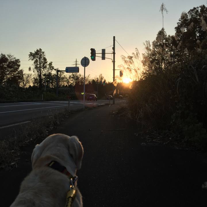 927a2e1f 2934 4146 8fb8 8eba9e635d9d 1543309251706