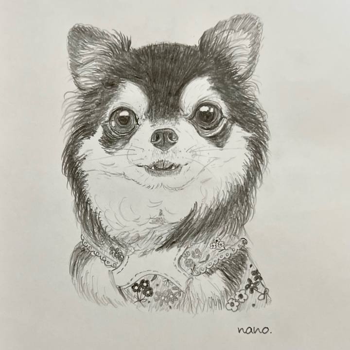 927a4ac9 127c 4107 9cd8 20db78fd4c5a 1696747088944