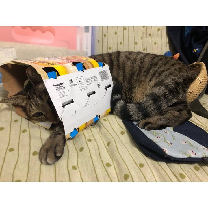 927a8b8c 3d1b 4a5d ab14 ec53cad9f21e 1629405345109