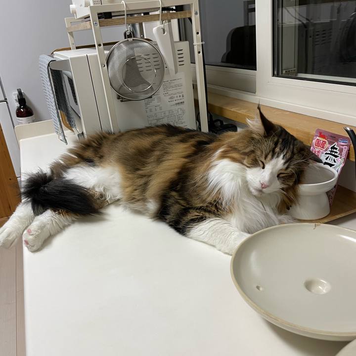 927acc92 1012 444d 9e6c ae7e29b5ab9c 1736851017224