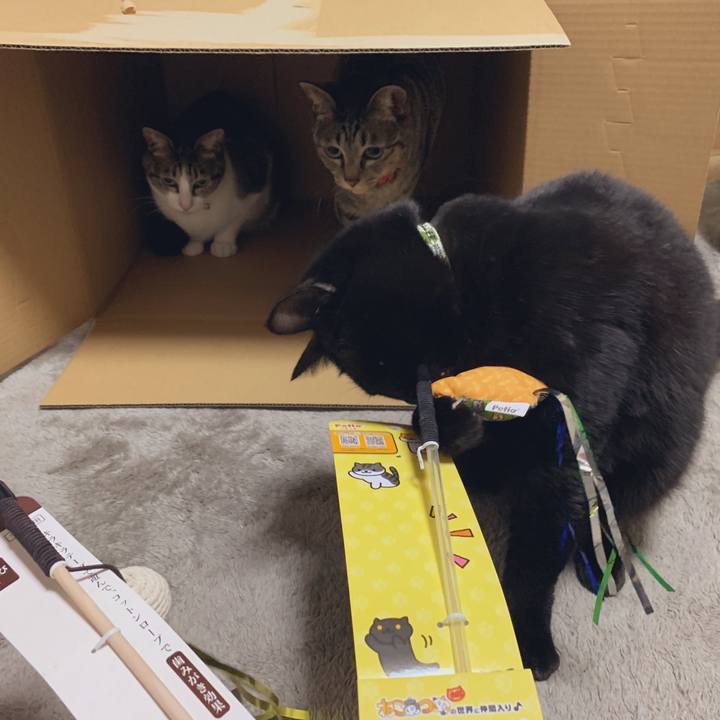 927ad261 0e6c 4e07 9392 be54a50d6d2c 1545830431262