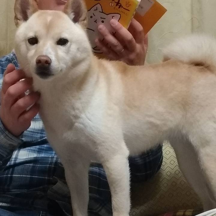 927afae8 b64b 40aa 8012 db43902e88cd 1551613143790