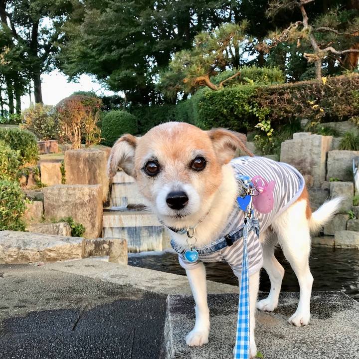 927b1c1c 9973 4616 b510 7b1173c9de5f 1636191033780