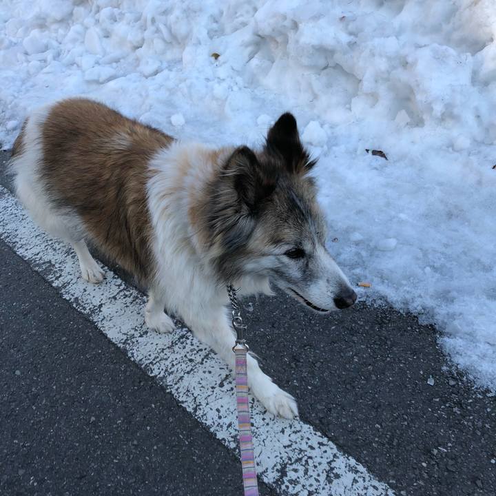 927b4058 e33d 4256 912a 35f7389281aa 1517185110028