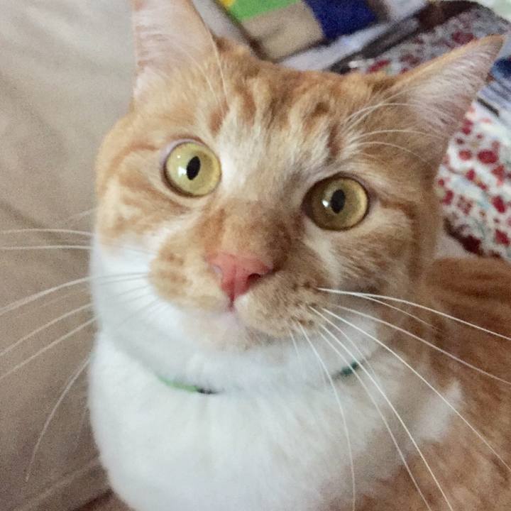 927b4633 ff32 42d1 aab3 d94f2707b430 1611989953956