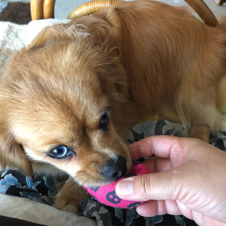 927b6510 6397 42e2 827c 7f6a384b841c 1530321910234