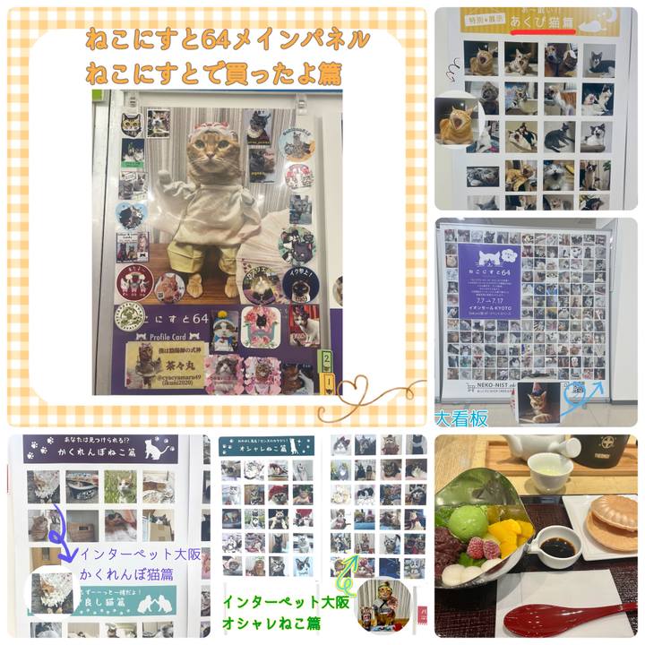 927b6854 f155 4923 92a6 1ede4dca1db7 1688726558013