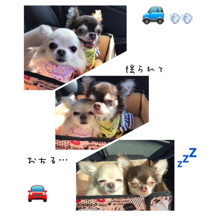 927b6bba 4ff8 4b2f b910 304020889851 1508858091282