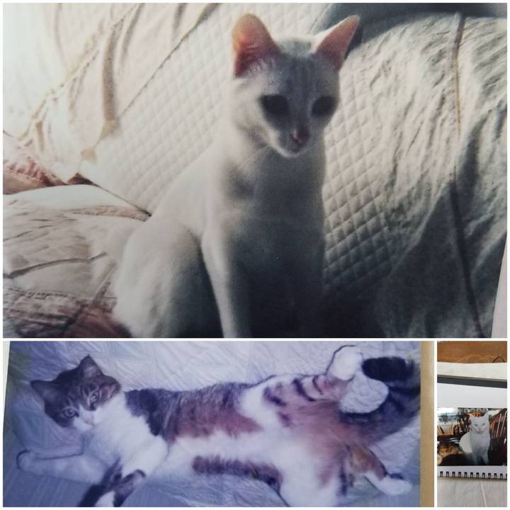 927b94d4 1c06 444e 977b 9f678cfb224d 1597445800938