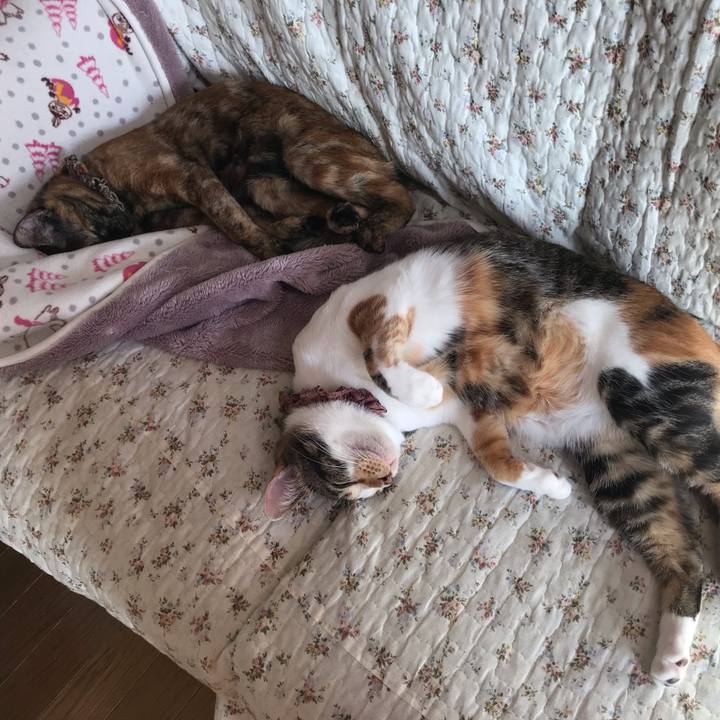 927b9777 16ce 448d a5eb 6caf9267c80c 1638666950915