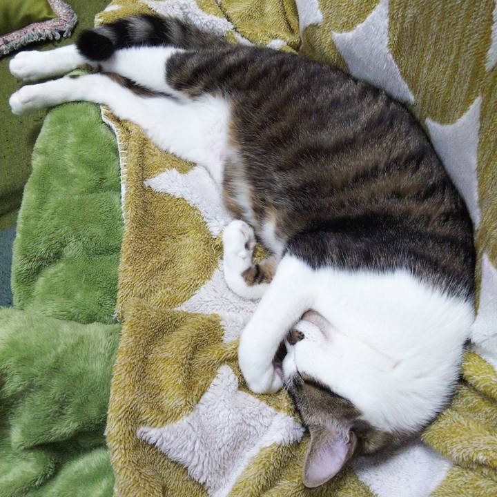 927b9946 7158 4af0 b786 240d4d12d123 1646027555112