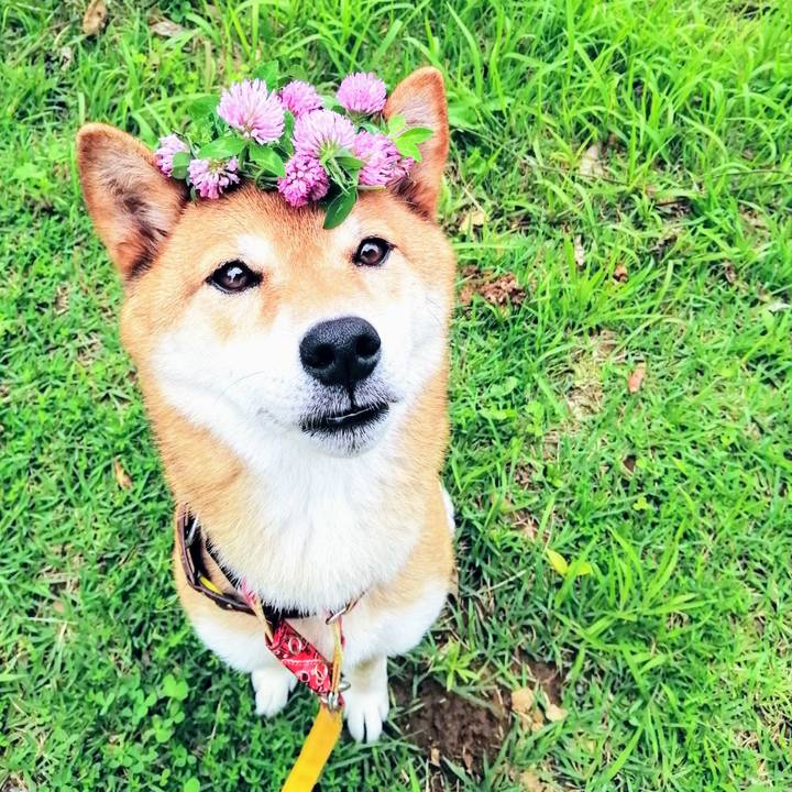 927bcd58 bd98 4fd0 980d d28596334db9 1594886178839