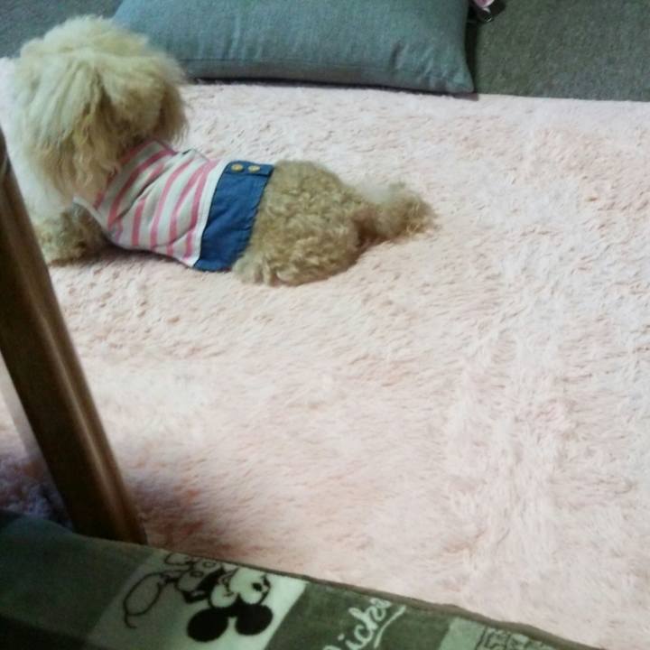 927bda2a c0b0 4881 ac4a 72872ce5a9d5 1558183296921