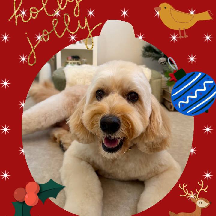 927be468 7bc4 4c3d 8826 3db47db23f79 1766656105267