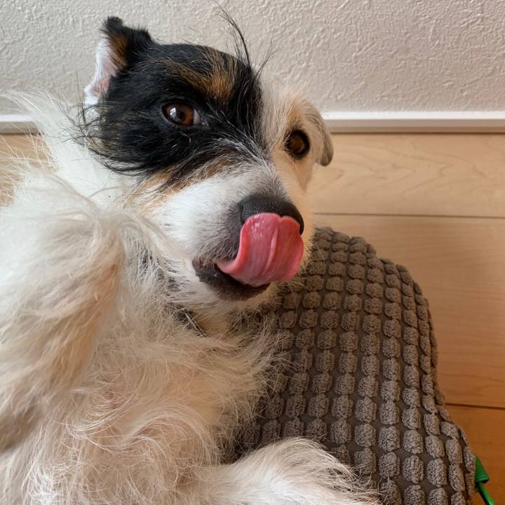 927be724 bdb4 449b 9587 40c894ca9d16 1551075436462