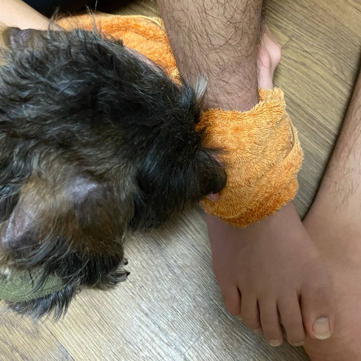 927bedbf 290c 47ee ac03 34a135674561 1611588246388