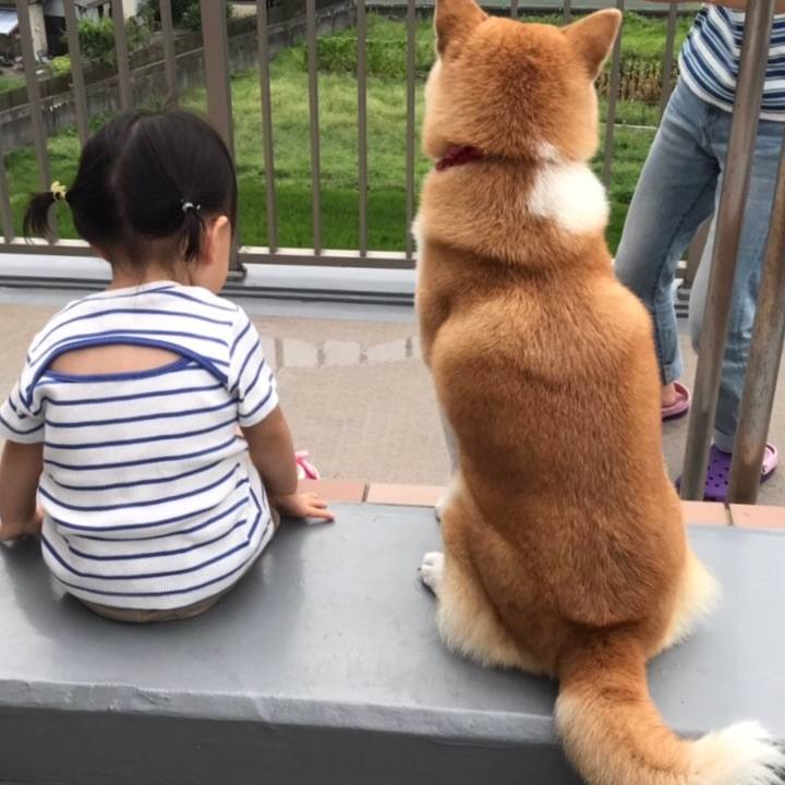 927bf704 9d75 4bcd 8cb3 58b36f6f3966 1566697955830