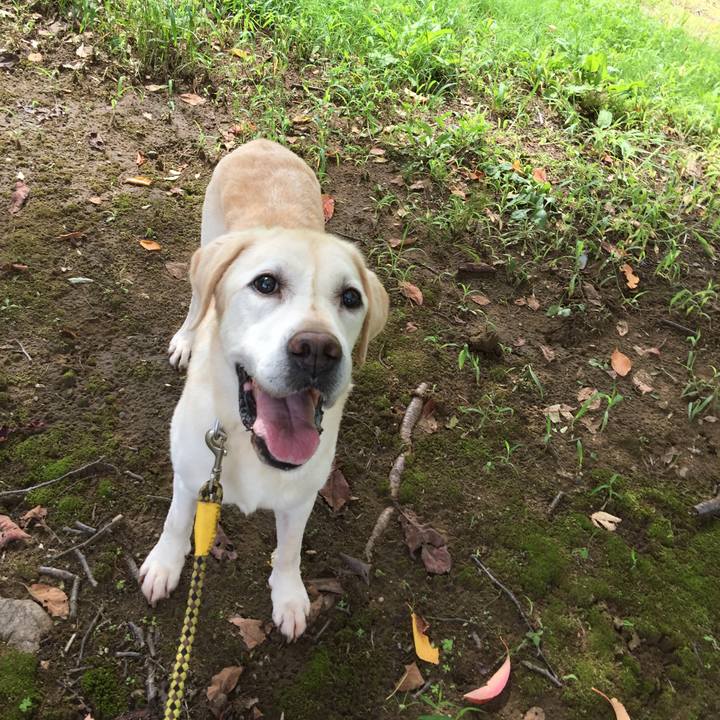 927c0848 58ee 486b 92a2 968b7af82a39 1537156662370