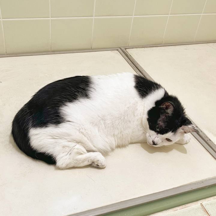 927c0bea 20bc 475c 816f 2d03576cb691 1759445305537