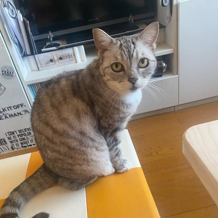 927c15f1 d95b 4856 a4e6 a4b84a48f8c7 1717539376224