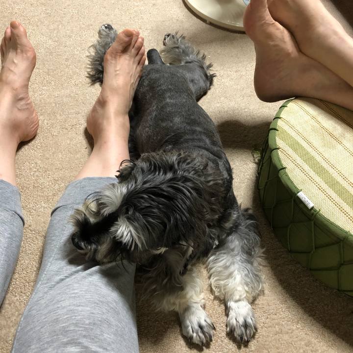 927c5c51 43ab 4bb9 bcf1 7cec6dac4afe 1629094590153