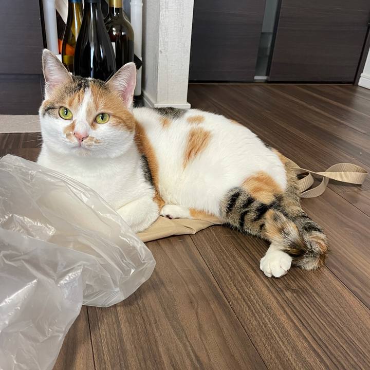 927c5c5a b123 44f2 881e 7c5ce7ade729 1614641629398