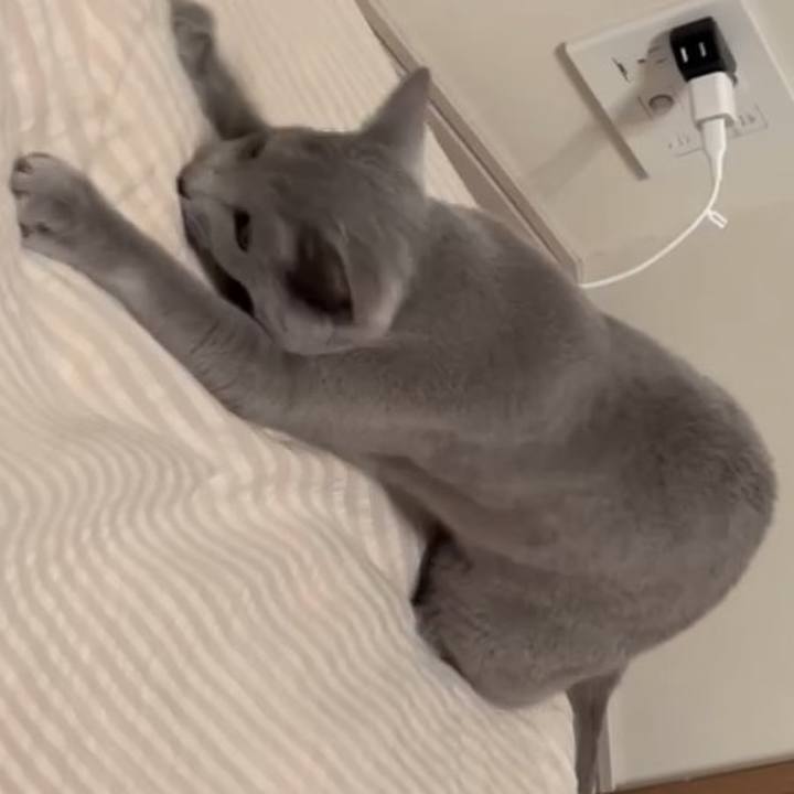 927c67aa ef71 476b a283 3b5150abfacb 1741346588186