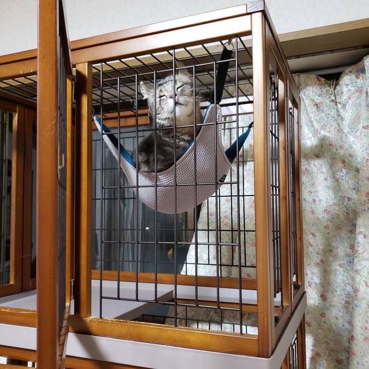 927c6eeb 099b 4326 8cc4 93c3b6237093 1672248617748