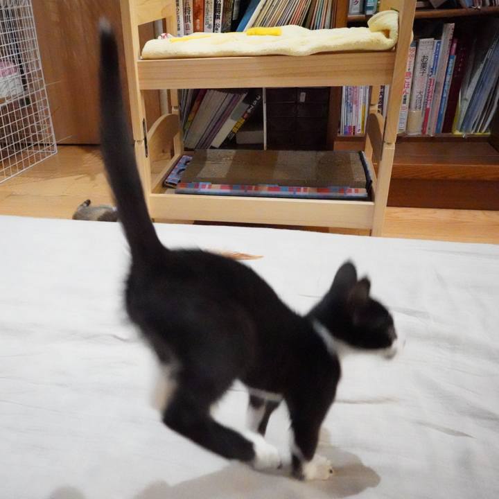 927c83c2 890b 4e25 be4e e1bbdd824694 1568210227336