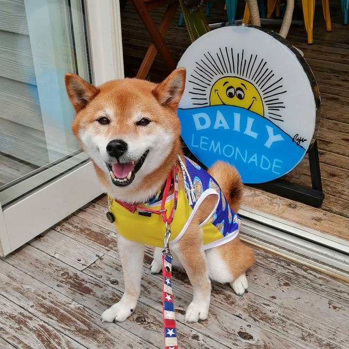 927c90ab d5a3 4985 b3db 05d8b08148fc 1653038236337