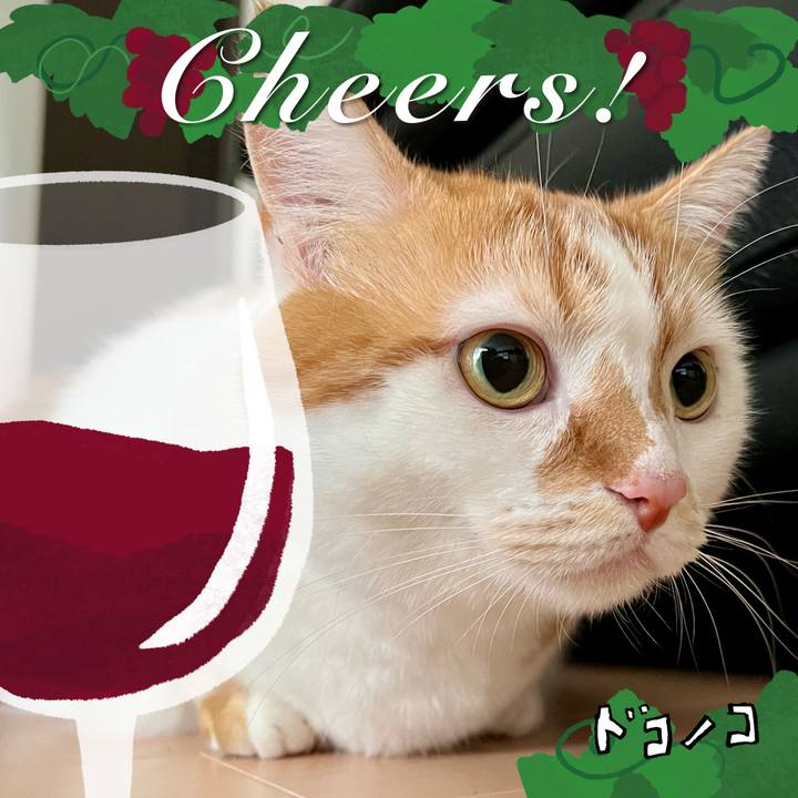 927c91a1 8305 4fd5 97c3 3a7e6f9e8f9f 1761364097211