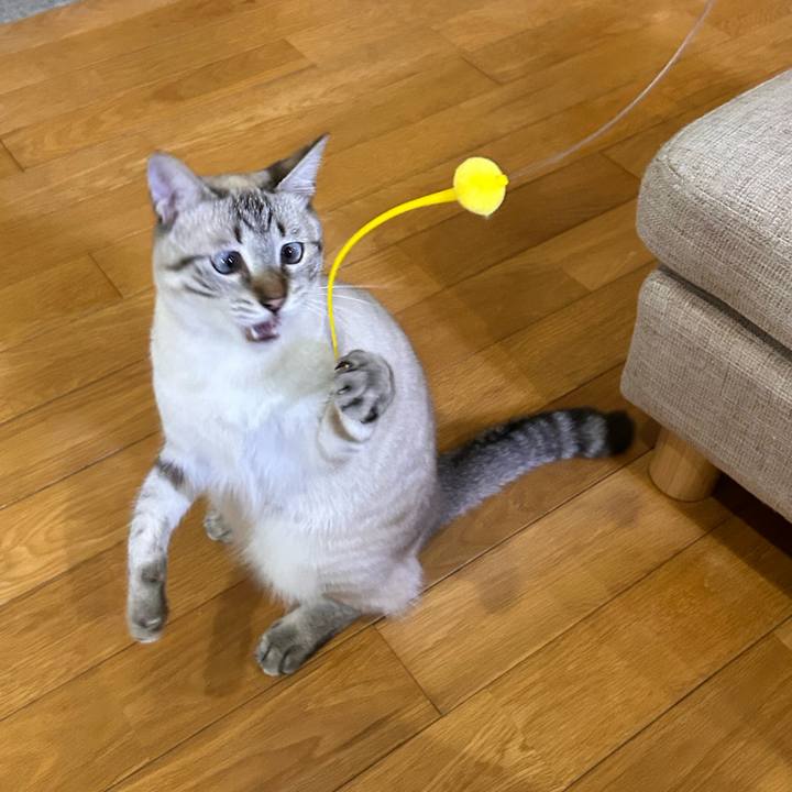 927cab31 bc38 4595 9d5f 0dc8844ae784 1754568001851