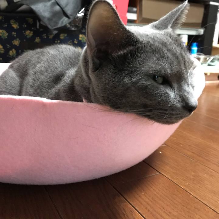 927cbe02 e1f2 4bf2 a982 46f7f767f284 1563200604235