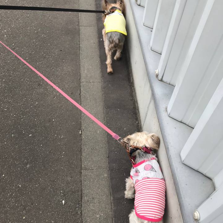 927cc536 cb6d 451b b626 dae52461ea42 1562990814258