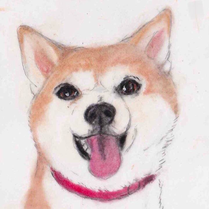 927cdbfb 493e 42b2 ba3d 5f62eff8bc94 1661126858421