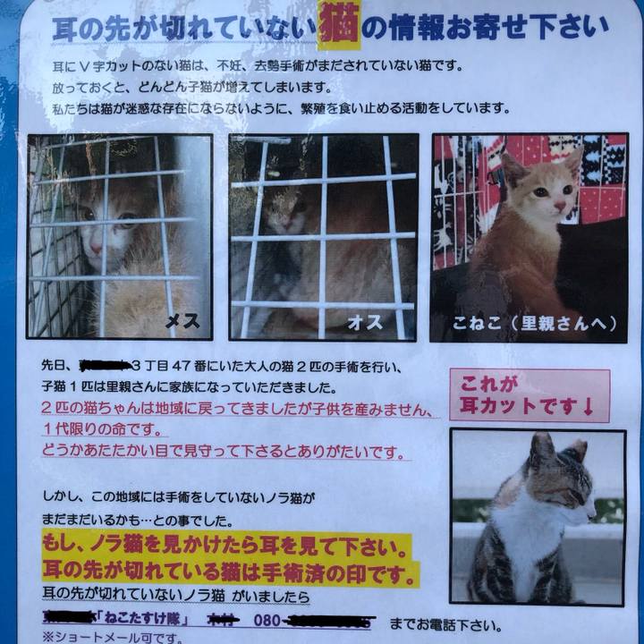 927d2189 6286 4964 8197 c5e536ba758f 1565876968108