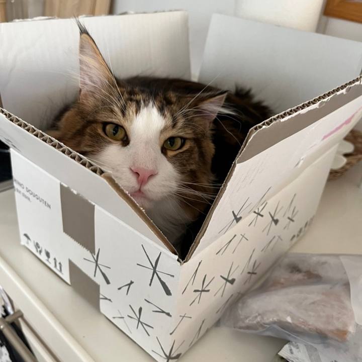 927d2db4 0a2f 4f81 89f9 9f6744d1d3db 1652132074701