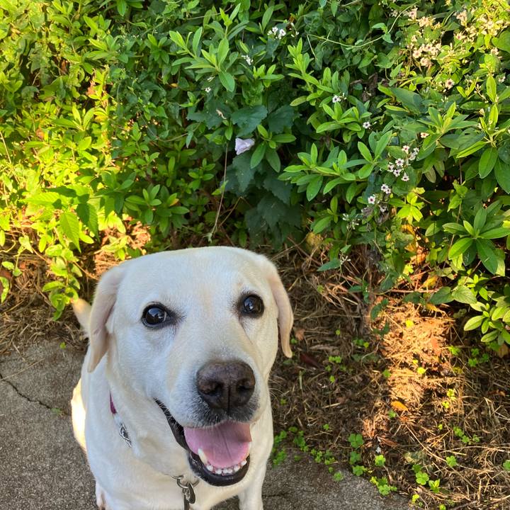 927d4b88 a3a4 451a bbbe f928aff571c3 1662763622125