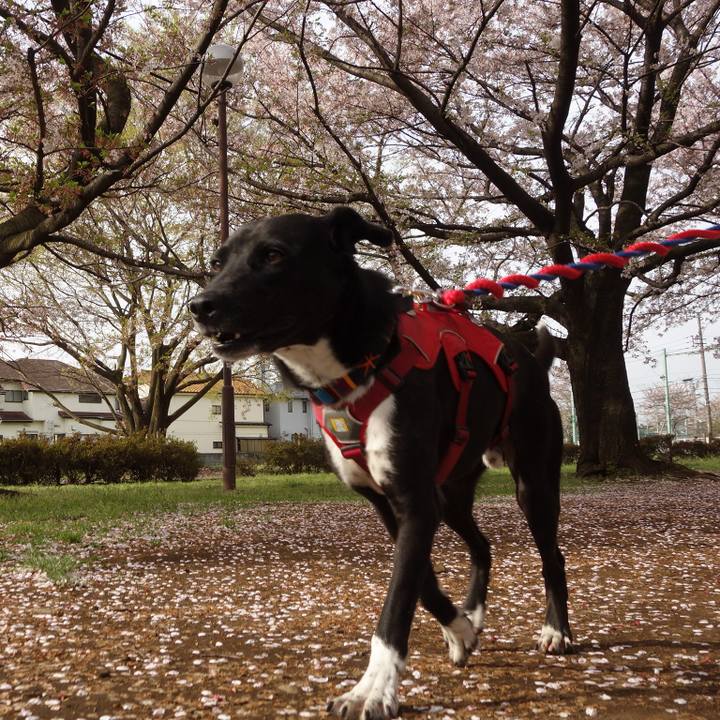 927d6ee8 e603 4921 b528 d099e349fd4b 1586226084915