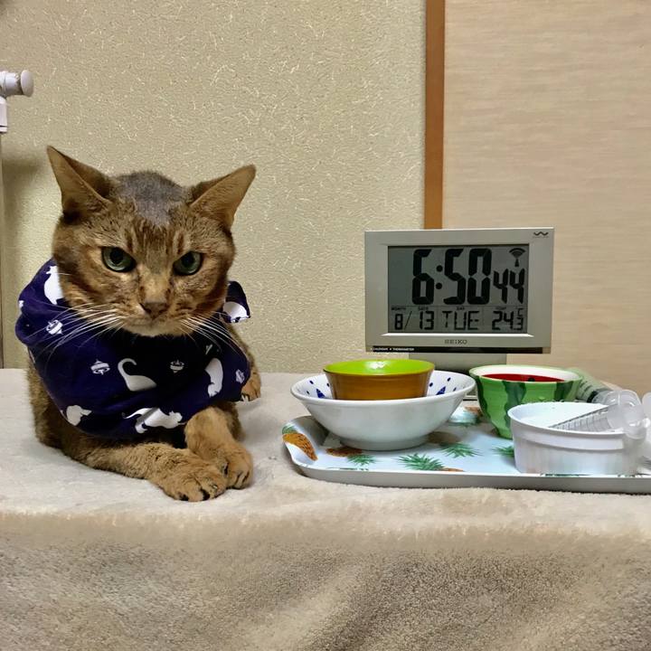 927d7ec0 b00b 4b97 8e0b 11659d0bcd86 1565657343822
