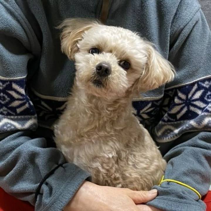 927d86c7 aab6 46ff 893f ab1702d4ec06 1582763577541