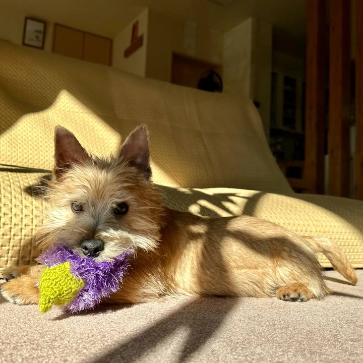 927da58f e1b0 4b53 a4bb 22115d23f4f6 1706750654361