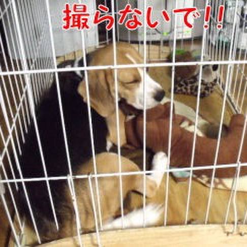 927df766 4385 4c71 9f47 ab2c7750d543 1699229825504