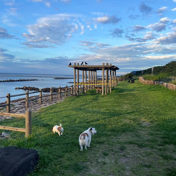 927e0b0d aa19 47cd aac8 9b4fbaff0ccb 1662456405037