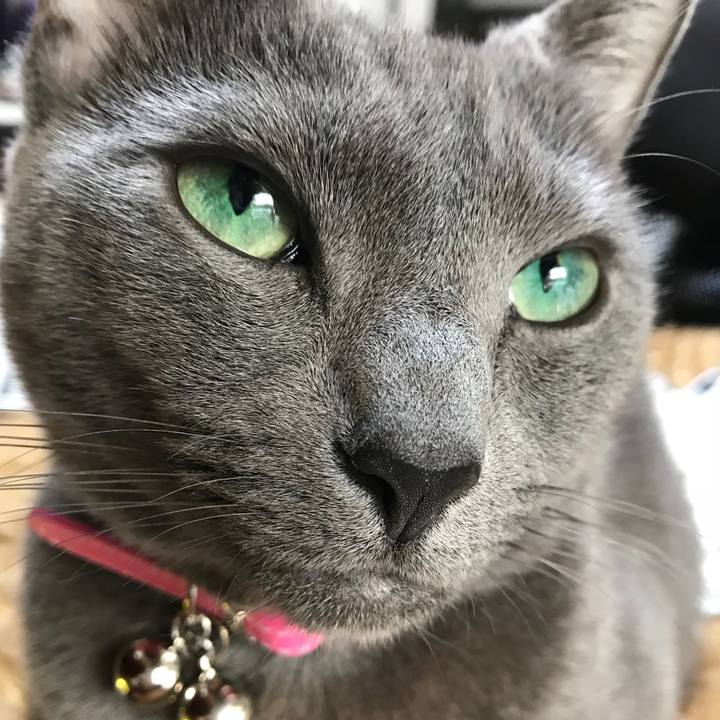 927e1bfe 20e4 4faa 871e 601e98795b9c 1517614101221