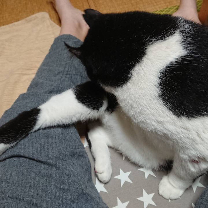 927e3fc9 a546 4f02 a87a 297622ff7512 1602331489247