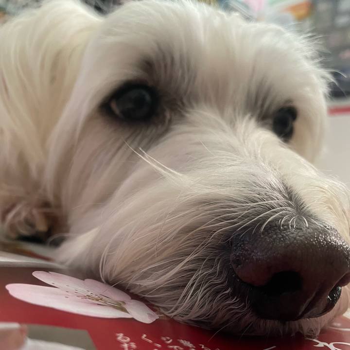 927e554f 0ec6 440d 96ae 10af54d0ffce 1746329830710