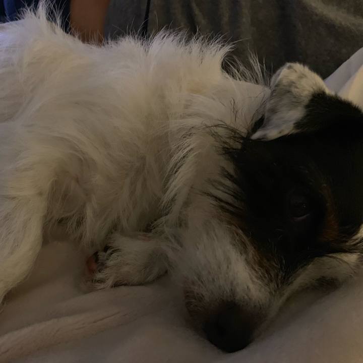 927e632d 2525 4c46 a3c3 bc65936f5f23 1560603011835