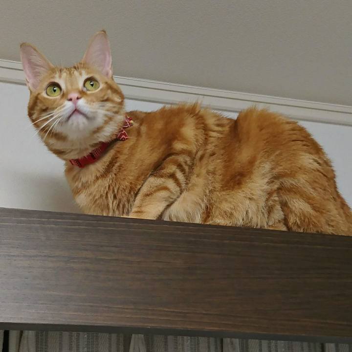 927e70e7 341d 4d7e 8afc f369ca89ce73 1508854166475