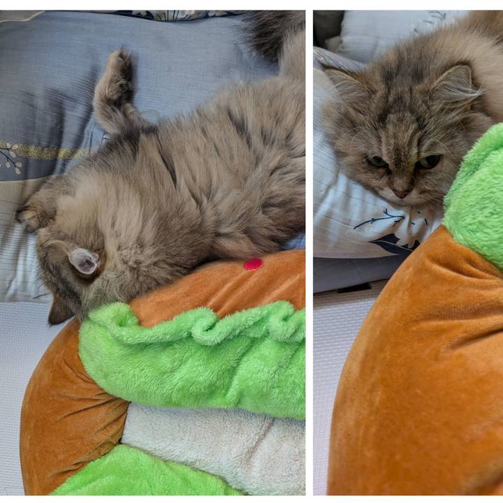 927e7401 739d 4e59 a2ce 119a3dfcc809 1728863648198